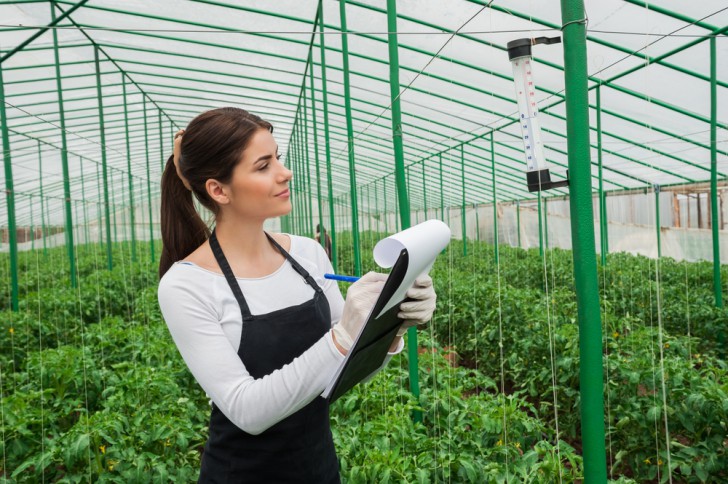 ¿o que é engenharia agronômica?